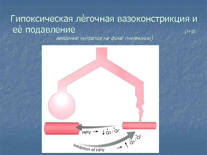 Гипоксическая лѐгочная вазоконстрикция и еѐ подавление    (н-р,  введение нитратов на