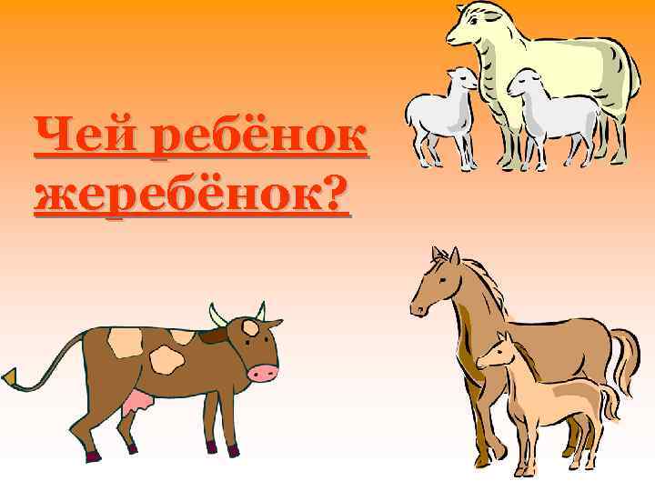 Чей ребёнок жеребёнок? 