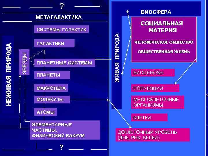      ?    БИОСФЕРА    МЕТАГАЛАКТИКА