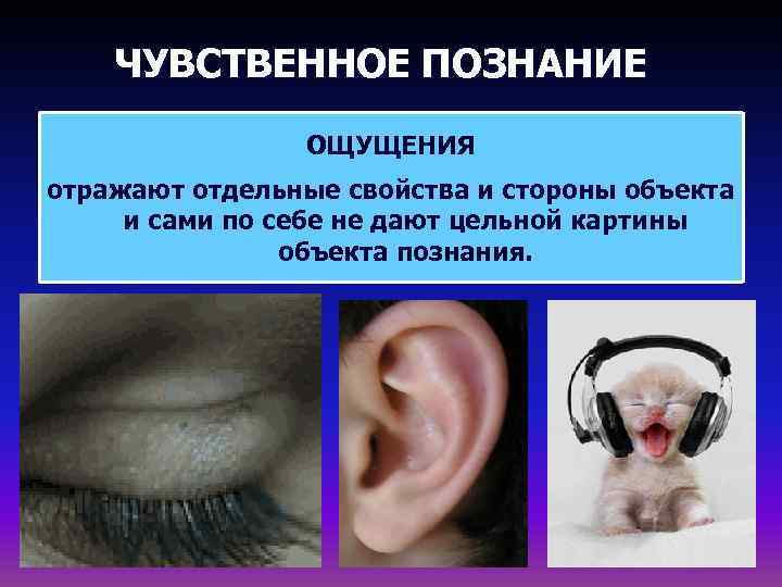   ЧУВСТВЕННОЕ ПОЗНАНИЕ   ОЩУЩЕНИЯ отражают отдельные свойства и стороны объекта и