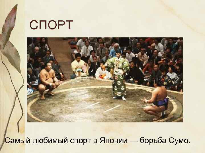  СПОРТ Самый любимый спорт в Японии — борьба Сумо. 