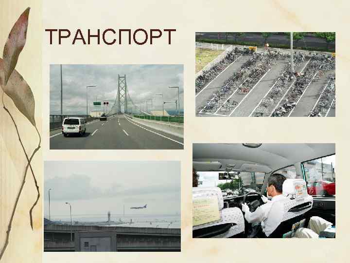 ТРАНСПОРТ 