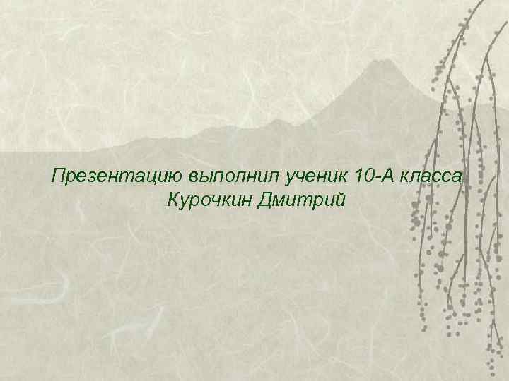 Презентацию выполнил ученик 10 -А класса  Курочкин Дмитрий 