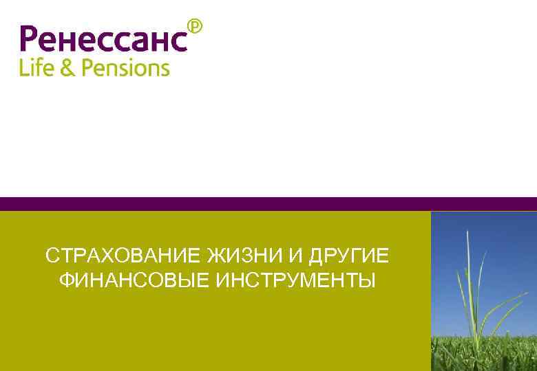 СТРАХОВАНИЕ ЖИЗНИ И ДРУГИЕ ФИНАНСОВЫЕ ИНСТРУМЕНТЫ 
