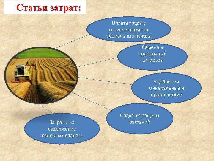 Статьи затрат:      Оплата труда с    