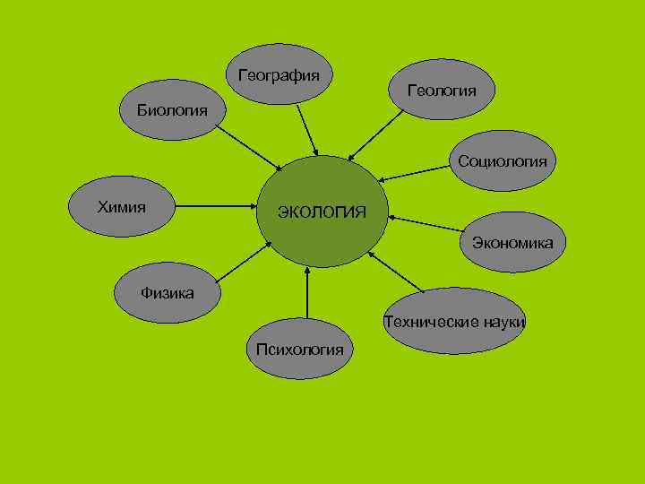     География       Геология Биология 