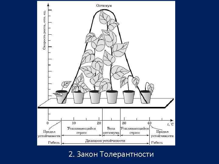 2. Закон Толерантности 