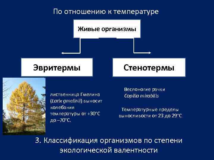   По отношению к температуре   Живые организмы Эвритермы   