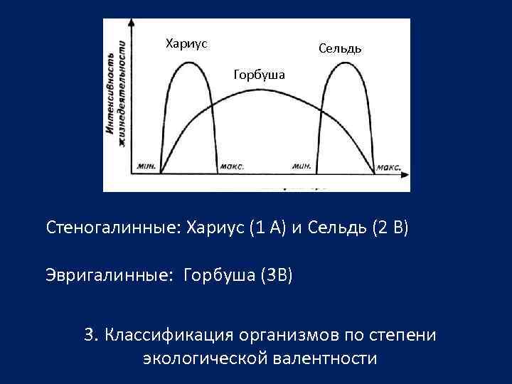    Хариус   Сельдь    Горбуша Стеногалинные: Хариус (1