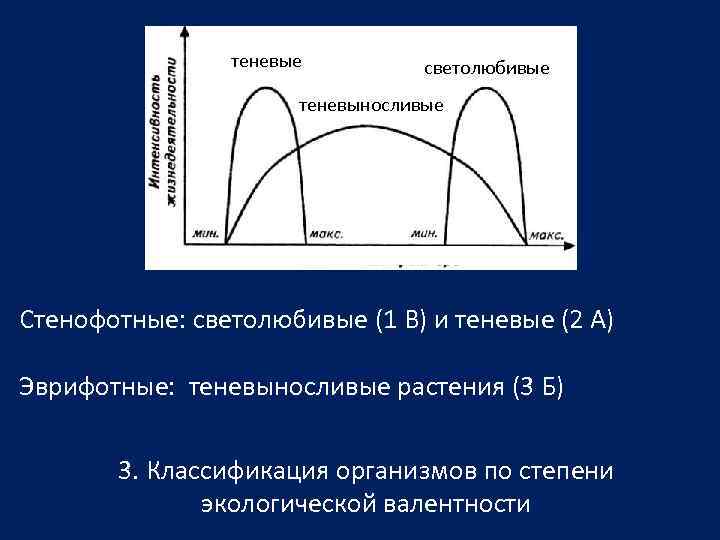     теневые  светолюбивые    теневыносливые Стенофотные: светолюбивые (1