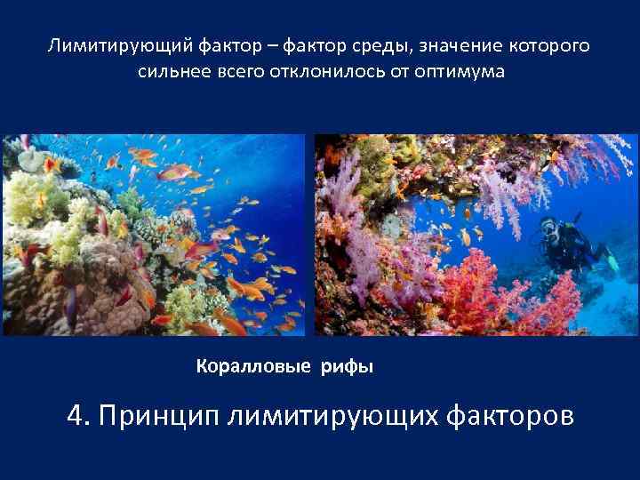 Лимитирующий фактор – фактор среды, значение которого   cильнее всего отклонилось от оптимума