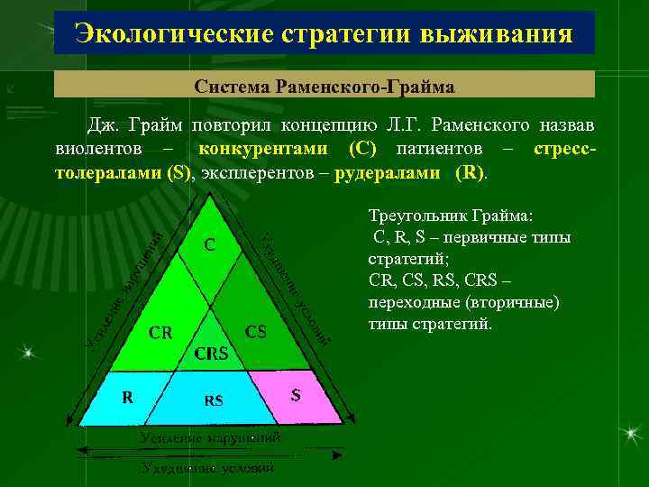  Экологические стратегии выживания    Система Раменского-Грайма  Дж.  Грайм повторил
