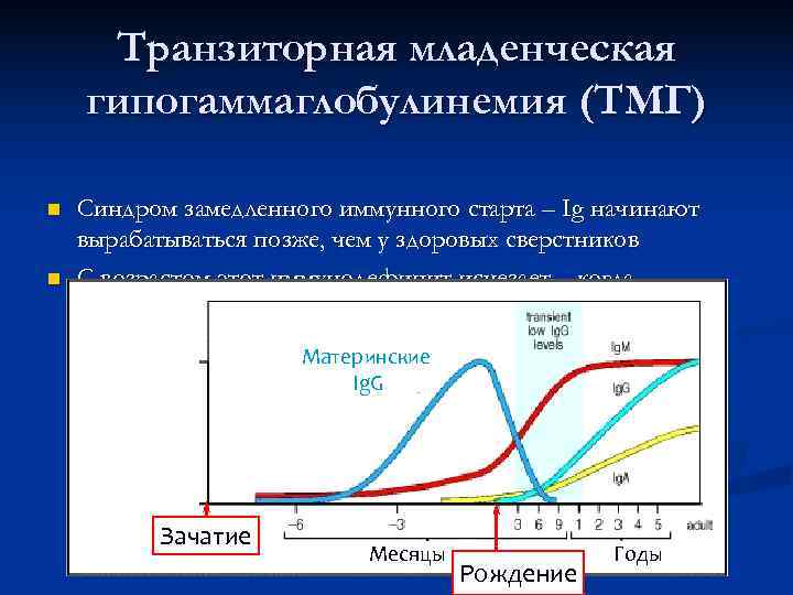  Транзиторная младенческая гипогаммаглобулинемия (ТМГ) n  Синдром замедленного иммунного старта – Ig начинают