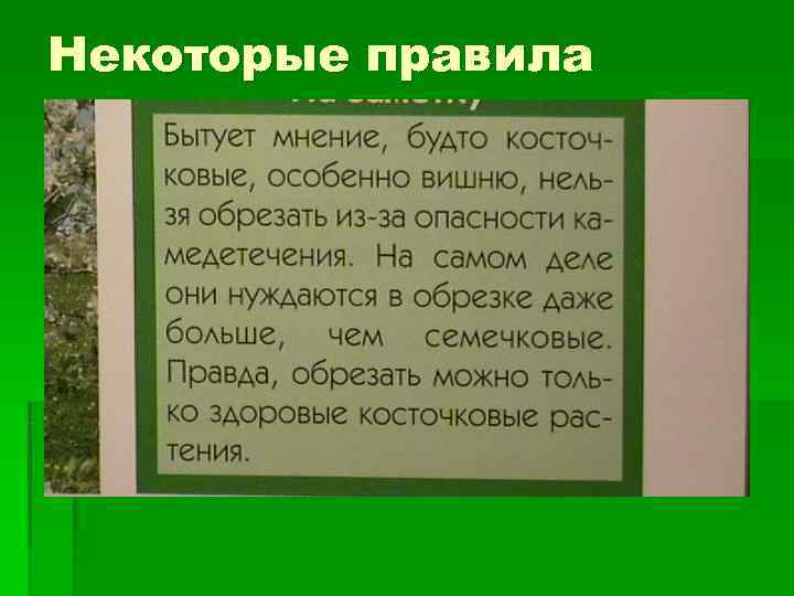 Некоторые правила 