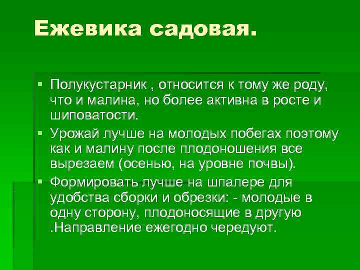 Ежевика садовая.  § Полукустарник , относится к тому же роду,  что и