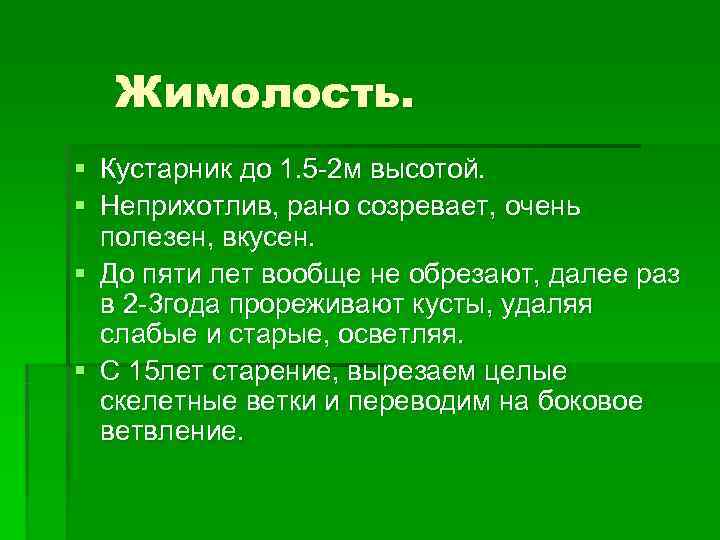  Жимолость. § Кустарник до 1. 5 -2 м высотой. § Неприхотлив, рано созревает,