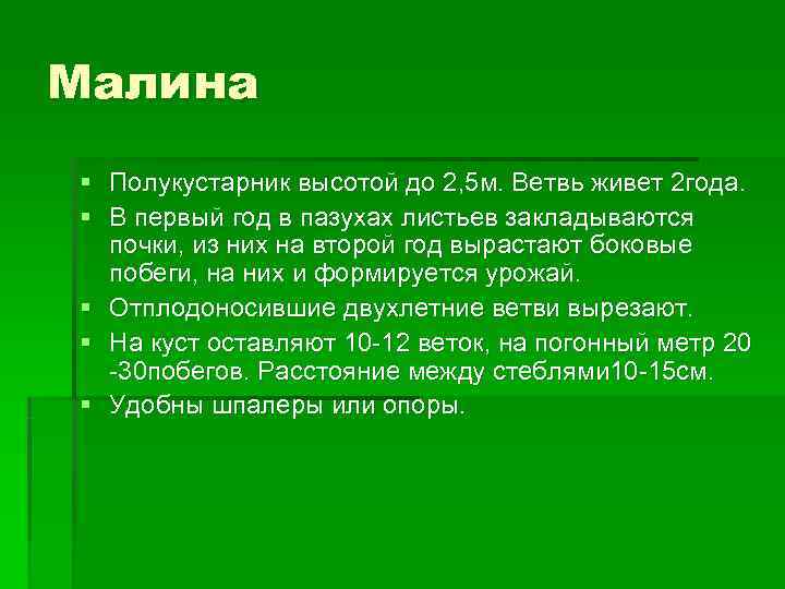 Малина § Полукустарник высотой до 2, 5 м. Ветвь живет 2 года. § В