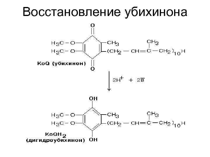 Восстановление убихинона 