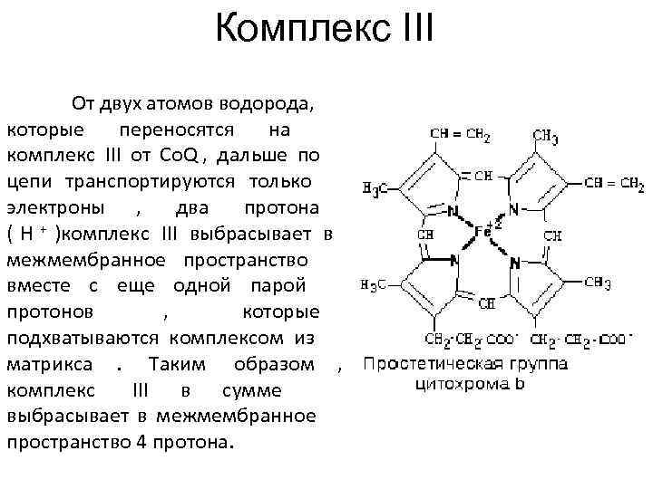     Комплекс III   От двух атомов водорода, которые переносятся