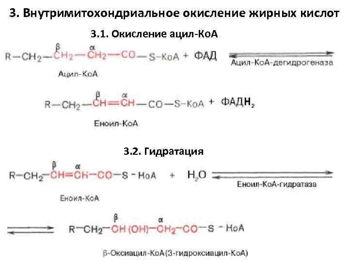 Бета окисление масляной кислоты схема и описание