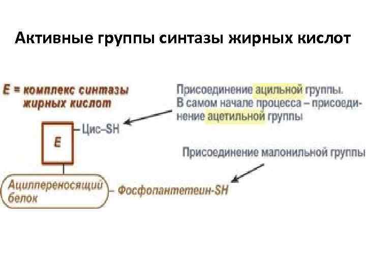 Активные группы синтазы жирных кислот 