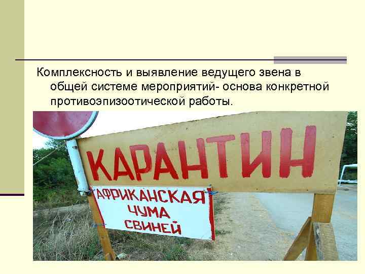 Комплексность и выявление ведущего звена в  общей системе мероприятий- основа конкретной  противоэпизоотической