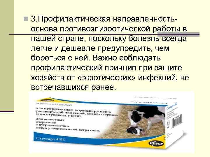 n 3. Профилактическая направленность- основа противоэпизоотической работы в нашей стране, поскольку болезнь всегда легче
