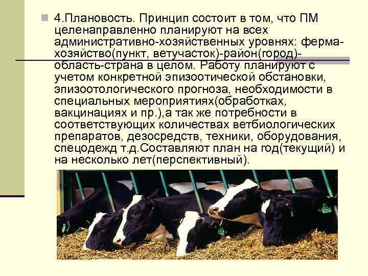 n 4. Плановость. Принцип состоит в том, что ПМ  целенаправленно планируют на всех