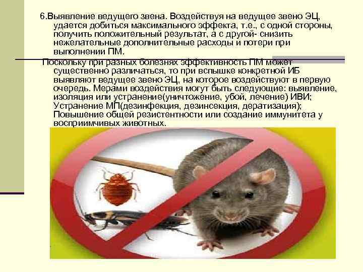 6. Выявление ведущего звена. Воздействуя на ведущее звено ЭЦ, удается добиться максимального эффекта, т.