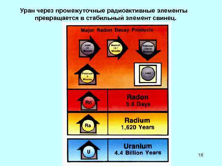 Уран через промежуточные радиоактивные элементы Уран через промежуточные радиоактивные элементы