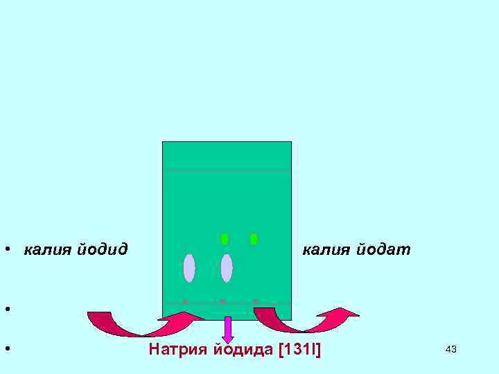 • калия йодид калия йодат • • • калия йодид калия йодат • •