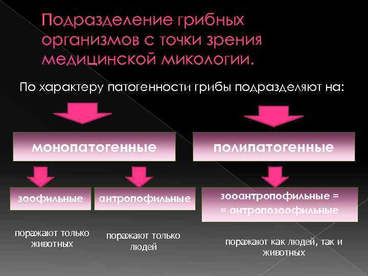  Подразделение грибных организмов с точки зрения  медицинской микологии. По характеру патогенности грибы