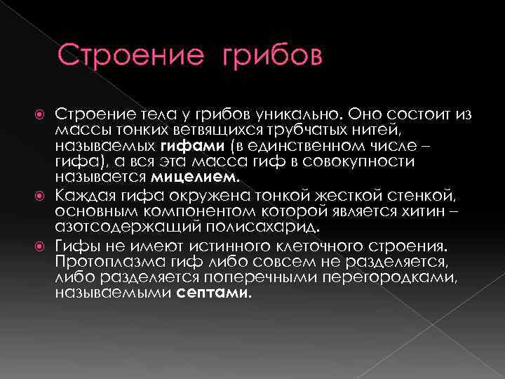   Строение грибов  Строение тела у грибов уникально. Оно состоит из 
