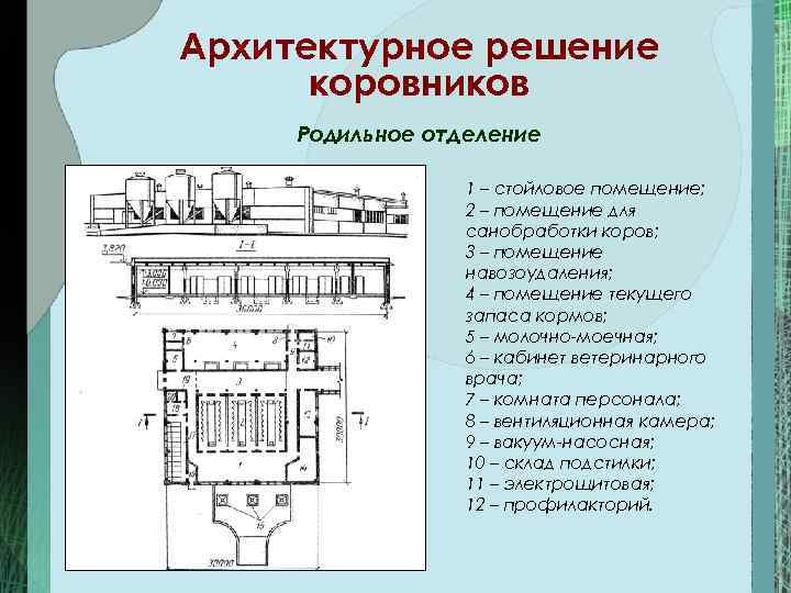 План схема род