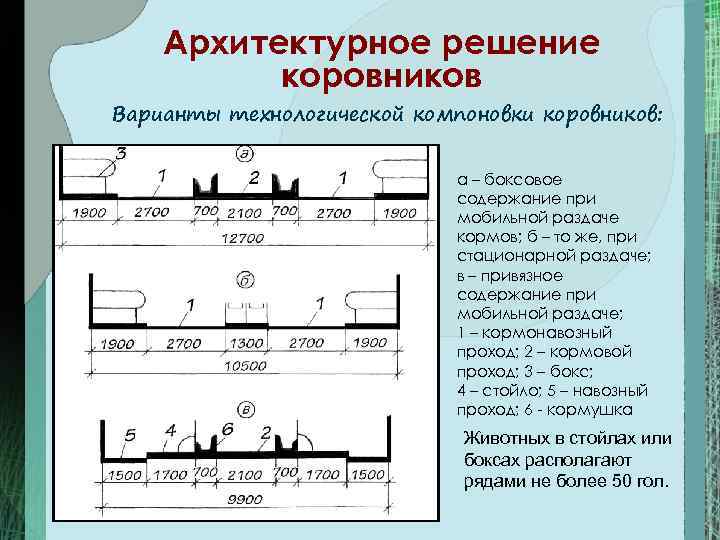   Архитектурное решение  коровников Варианты технологической компоновки коровников:    