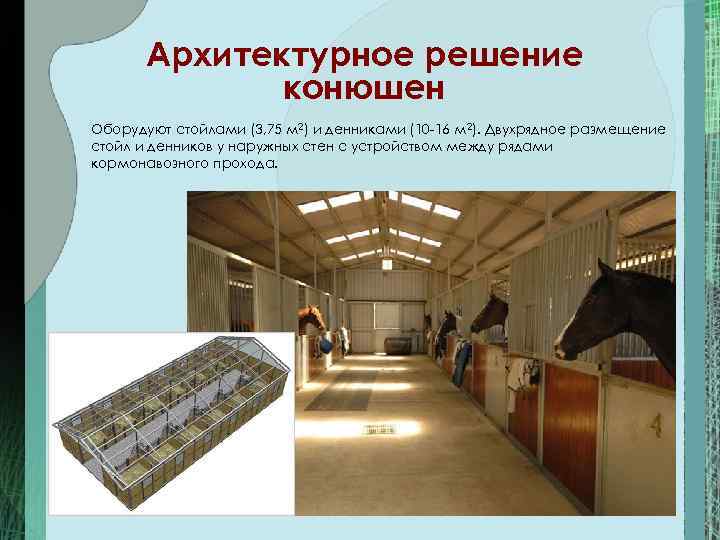   Архитектурное решение    конюшен Оборудуют стойлами (3, 75 м 2)