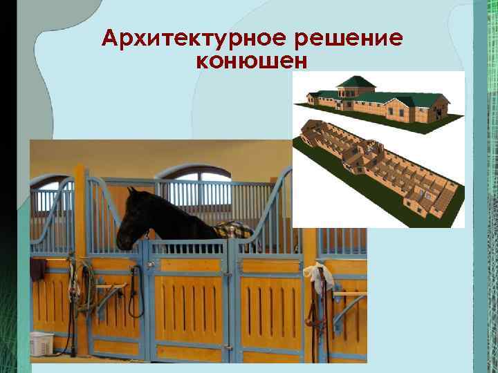 Архитектурное решение  конюшен 