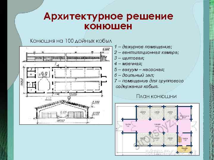 Типовой проект конюшни на 20 голов