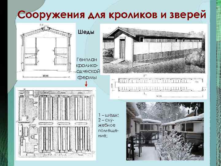 Шедовая система содержания кроликов схема