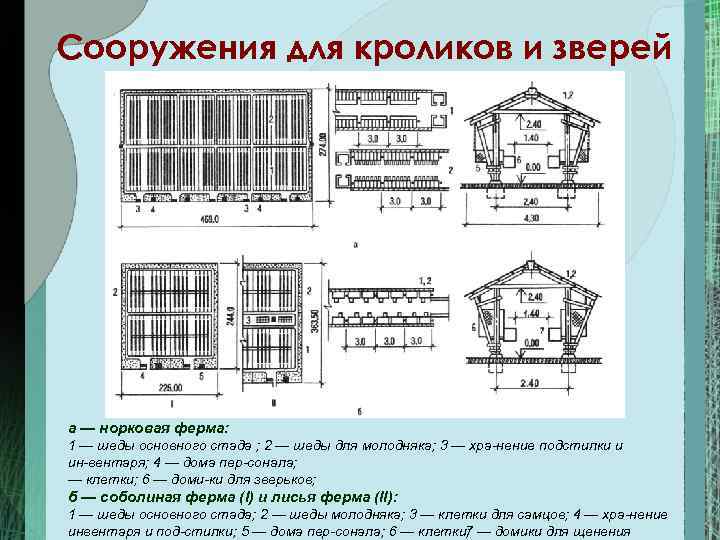 Сооружения для кроликов и зверей а — норковая ферма: 1 — шеды основного стада