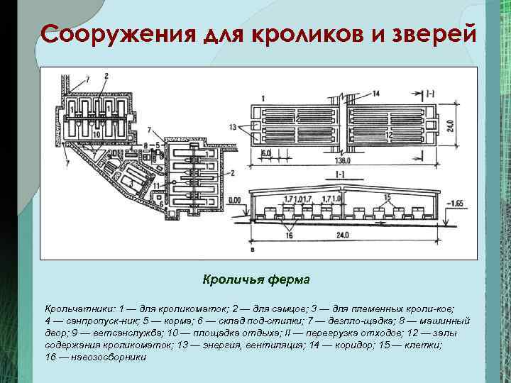 План помещения для кроликов