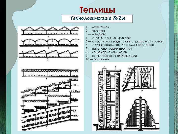  Теплицы Технологические виды 1 — двускатная;  2 — арочная;  3