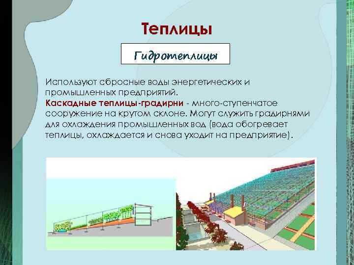     Теплицы   Гидротеплицы Используют сбросные воды энергетических и промышленных