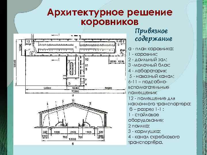 Типовой проект коровника