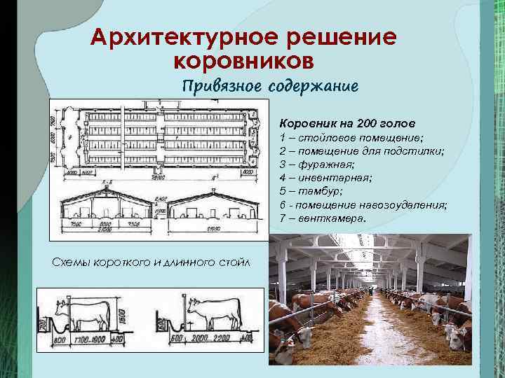 Презентация на тему микроклимат животноводческих помещений