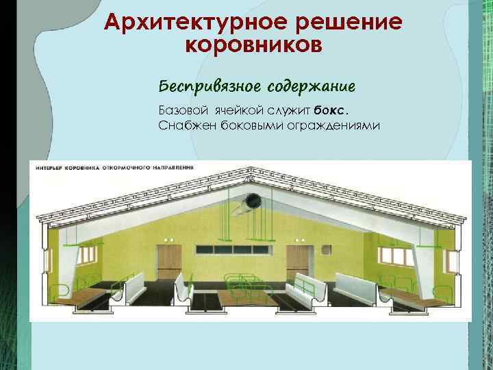 Архитектурное решение  коровников  Беспривязное содержание  Базовой ячейкой служит бокс. Снабжен боковыми