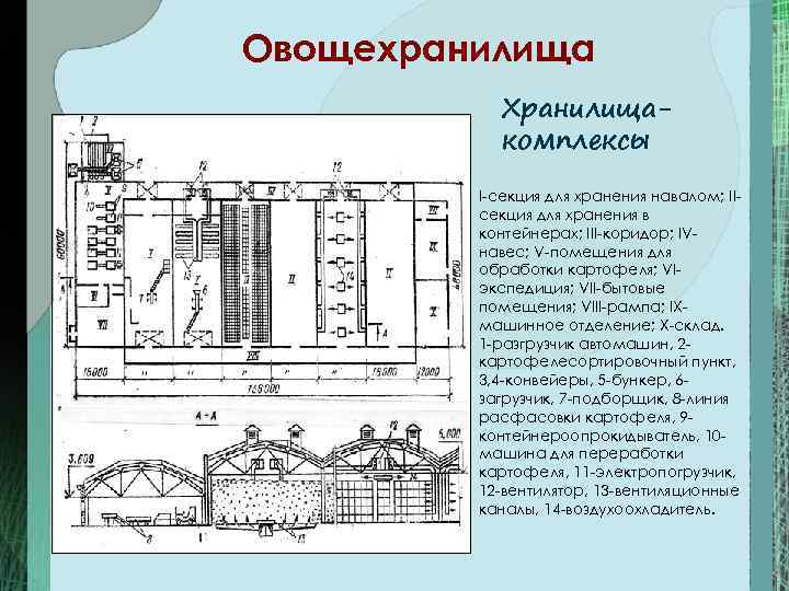 Дипломный проект овощехранилище