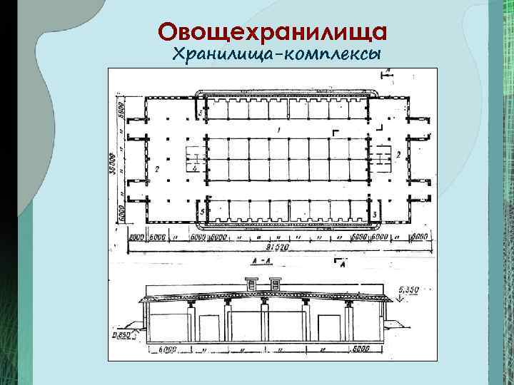 Дипломный проект овощехранилище