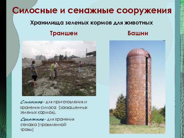 Силосные и сенажные сооружения Хранилища зеленых кормов для животных    Траншеи 