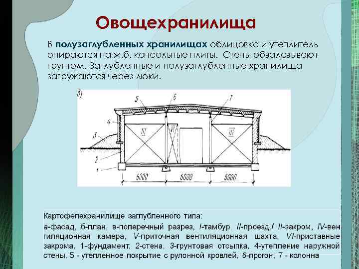 Овощехранилище типовой проект